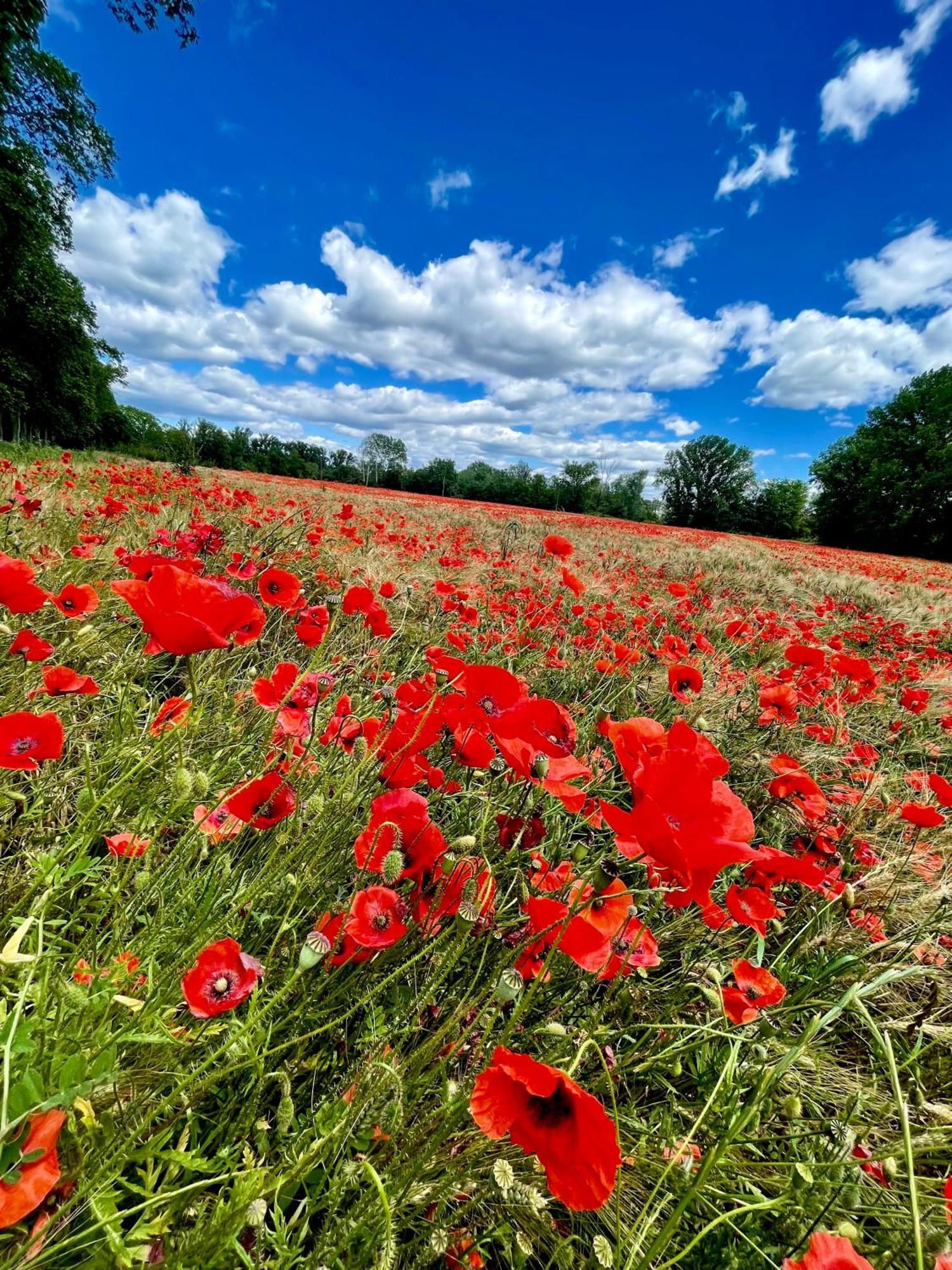 La Frigoule, Un Gite Au Coeur Du Parc Des Cevennes Generargues エクステリア 写真